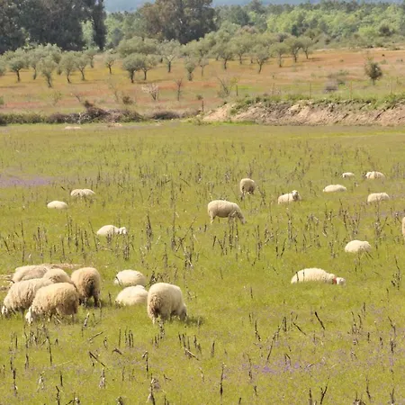Pensjonat Casa Da Lardosa
