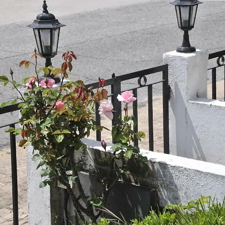 Casa Da Lardosa
