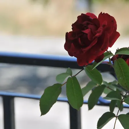 بيت ضيافة Casa Da Lardosa